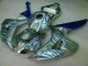 Azul Llama Plata Carenado Moto Honda CBR 1000 RR 06-07