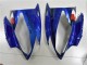 Azul Tiburón Carenado Moto Yamaha R6 06-07 Azul Tiburón Carenado Moto Yamaha R6 06-07