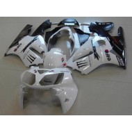 Blanco Monster Carenado Moto Kawasaki ZX12R 02-06