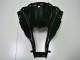 Brillante Negro Carenado Moto Kawasaki ZX10R 11-15