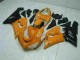 Naranja Kits Completo Carenado Moto Kawasaki ZX6R 05-06