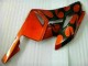 Naranja Negro Kit Carenado Moto Honda CBR 1000 RR 04-05 Naranja Negro Kit Carenado Moto Honda CBR 1000 RR 04-05