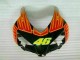 Naranja Verde Carenado Moto Honda CBR 1000 RR 04-05 Naranja Verde Carenado Moto Honda CBR 1000 RR 04-05