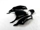 Negro Verde Kit Completo Carenado Moto Kawasaki ZX14R ZZR 1400 12-21 Negro Verde Kit Completo Carenado Moto Kawasaki ZX14R ZZR 1400 12-21