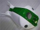 Verde Blanco Carenado Moto Honda CBR 1000 RR 04-05