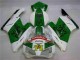 Verde Blanco Carenado Moto Honda CBR 1000 RR 04-05