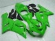 Verde Carenado Moto Kawasaki ZX6R 05-06 Verde Carenado Moto Kawasaki ZX6R 05-06