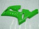 Verde Carenado Moto Kawasaki ZX6R 05-06 Verde Carenado Moto Kawasaki ZX6R 05-06