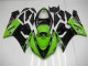 Verde Carenados Moto Kawasaki ZX6R 05-06 Verde Carenados Moto Kawasaki ZX6R 05-06