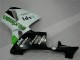 Verde Kit Carenado ABS Completo Honda CBR 600 RR 05-06 Verde Kit Carenado ABS Completo Honda CBR 600 RR 05-06