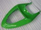 Verde Kits Completo Carenado Moto Kawasaki ZX6R 05-06 Verde Kits Completo Carenado Moto Kawasaki ZX6R 05-06