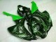 Verde Llama Negro Carenado Moto Honda CBR 1000 RR 06-07