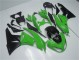 Verde Negro Kit Carenado ABS Completo Kawasaki ZX6R 09-12