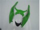 Verde Negro Kit Carenado ABS Completo Kawasaki ZX6R 09-12