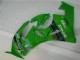 Verde Negro LeoVince Carenado Moto Kawasaki ZX6R 09-12 Verde Negro LeoVince Carenado Moto Kawasaki ZX6R 09-12