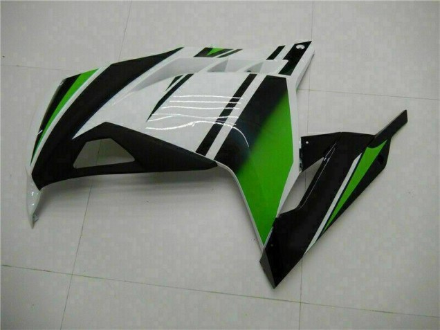 Verde Negro Plata Carenado Moto Kawasaki EX300 13-16 Verde Negro Plata Carenado Moto Kawasaki EX300 13-16