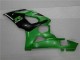Verde Plástica Moto Suzuki GSXR 1000 K5 05-06 Verde Plástica Moto Suzuki GSXR 1000 K5 05-06