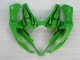 Verde Plástico Moto Suzuki GSXR 1000 K5 05-06 Verde Plástico Moto Suzuki GSXR 1000 K5 05-06